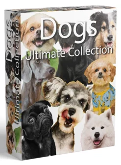 Dogs ultimate collection sound effects library